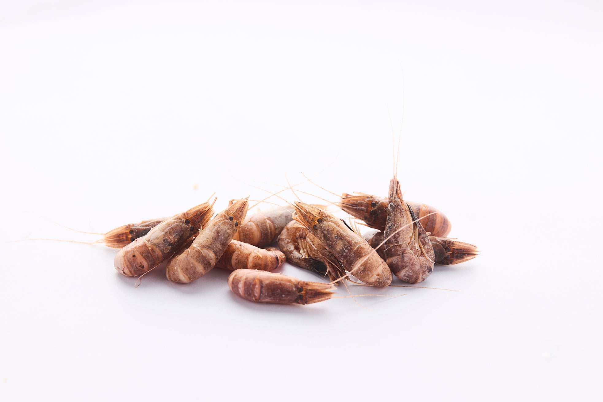 Garnaalkroket De Luks